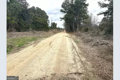 L1 Keysville-Boggs Academy Road, Keysville, GA 30816 - Photo 2