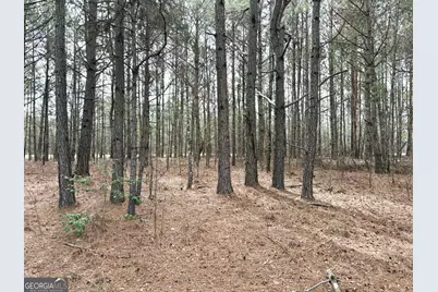 L7 W. Quaker Road, Keysville, GA 30816 - Photo 2