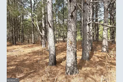 L7 W. Quaker Road, Keysville, GA 30816 - Photo 6