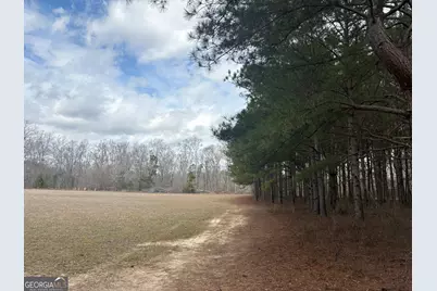 L5 W. Quaker Road, Keysville, GA 30816 - Photo 16