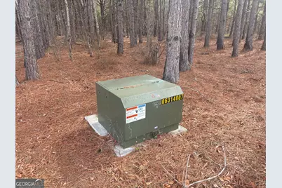 L5 W. Quaker Road, Keysville, GA 30816 - Photo 12