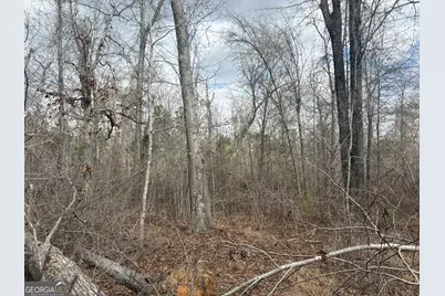 L5 W. Quaker Road, Keysville, GA 30816 - Photo 22