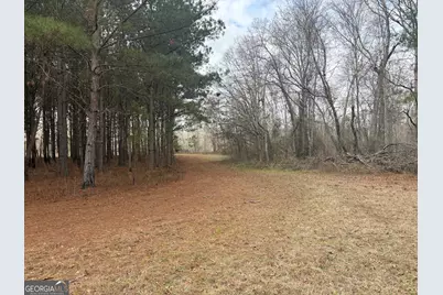 L5 W. Quaker Road, Keysville, GA 30816 - Photo 18