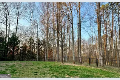 114 Springbrook Drive, Cornelia, GA 30531 - Photo 28