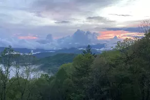 58 Buttons Ln, Dillard, GA 30537 - Photo 64