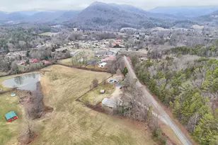 813 Tiger Connector, Tiger, GA 30576 - Photo 70