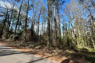 0 Samples Rd, West Point, GA 31833 - Photo 1