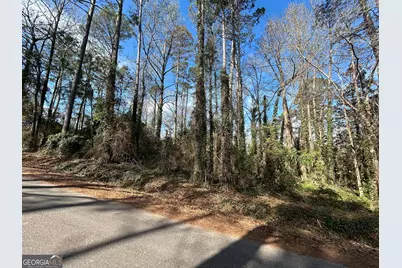 0 Samples Road, West Point, GA 31833 - Photo 2