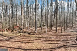 115 Rock Quarry Dr, Danielsville, GA 30633 - Photo 34