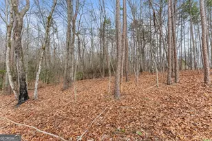 206 Shoals Way, Clarkesville, GA 30523 - Photo 26