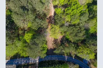 0 June Kemp Road, Aragon, GA 30104 - Photo 8