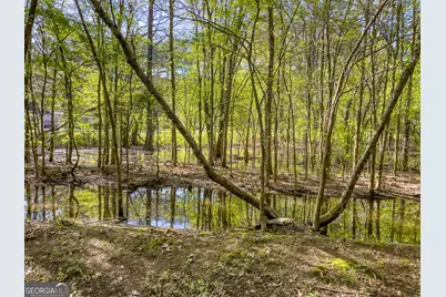 0 June Kemp Road, Aragon, GA 30104 - Photo 20