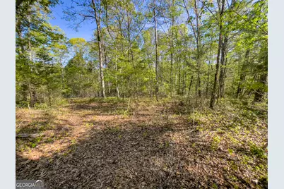 0 June Kemp Road, Aragon, GA 30104 - Photo 2