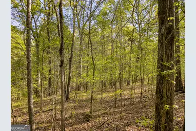 0 June Kemp Road, Aragon, GA 30104 - Photo 12