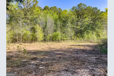 0 June Kemp Road, Aragon, GA 30104 - Photo 16