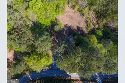 0 June Kemp Road, Aragon, GA 30104 - Photo 6