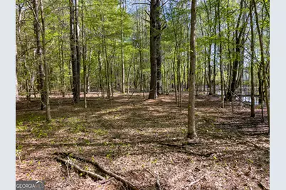 0 June Kemp Road, Aragon, GA 30104 - Photo 18