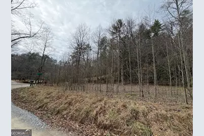 3.1 Acre Maple Rest Lane #6,7, Ellijay, GA 30540 - Photo 14
