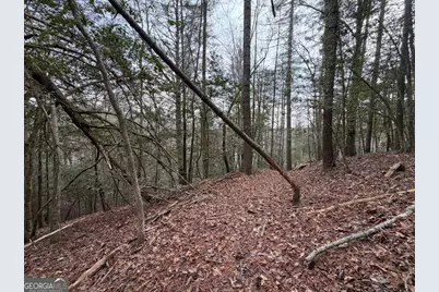 3.1 Acre Maple Rest Lane #6,7, Ellijay, GA 30540 - Photo 6
