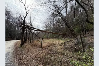 3.1 Acre Maple Rest Lane #6,7, Ellijay, GA 30540 - Photo 2