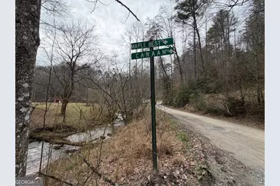 3.1 Acre Maple Rest Lane #6,7, Ellijay, GA 30540 - Photo 10