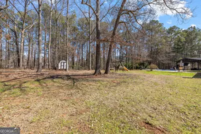 310 Old Highway 16, Sharpsburg, GA 30277 - Photo 36