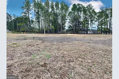 0 Southside Drive, Blackshear, GA 31516 - Photo 1