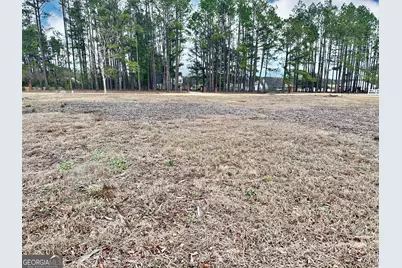 0 Southside Drive, Blackshear, GA 31516 - Photo 10