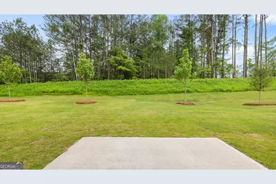 93 White Spruce Way, Newnan, GA 30265 - Photo 36