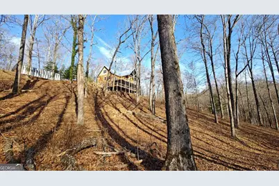 236 Grace Drive, Blue Ridge, GA 30513 - Photo 30
