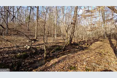 236 Grace Drive, Blue Ridge, GA 30513 - Photo 32