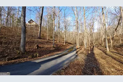 236 Grace Drive, Blue Ridge, GA 30513 - Photo 24