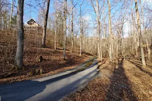 236 Grace Dr, Blue Ridge, GA 30513 - Photo 24