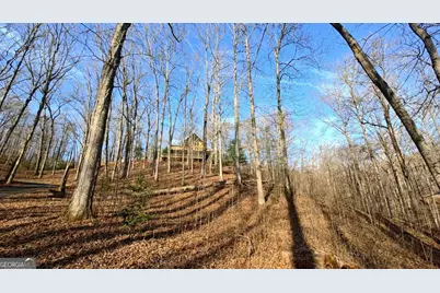236 Grace Drive, Blue Ridge, GA 30513 - Photo 28
