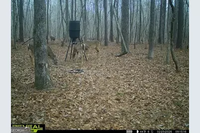 1553 S Walkers Mill Road, Griffin, GA 30224 - Photo 32