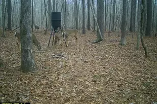 1553 S Walkers Mill Rd, Griffin, GA 30224 - Photo 32