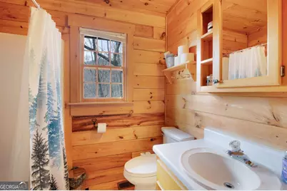 173 Mountain Laurel Lane, Ellijay, GA 30536 - Photo 28