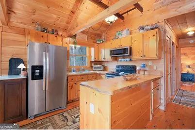 173 Mountain Laurel Lane, Ellijay, GA 30536 - Photo 20