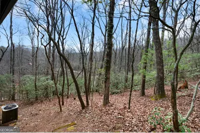 173 Mountain Laurel Lane, Ellijay, GA 30536 - Photo 44