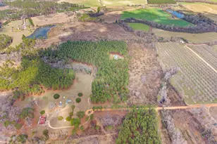 490 Turner Rd, Statesboro, GA 30458 - Photo 44