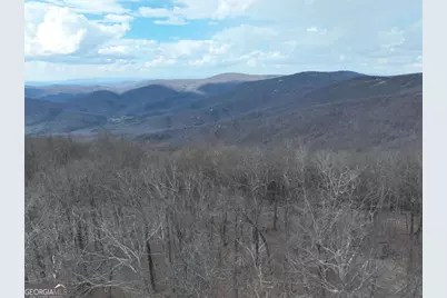 Tr C Old A T Approach Trail, Jasper, GA 30143 - Photo 6