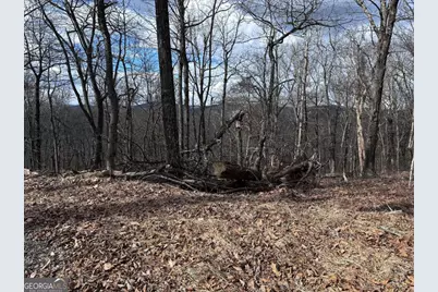 Tr C Old A T Approach Trail, Jasper, GA 30143 - Photo 16