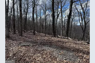 Tr C Old A T Approach Trail, Jasper, GA 30143 - Photo 18