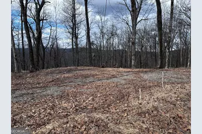 Tr C Old A T Approach Trail, Jasper, GA 30143 - Photo 10