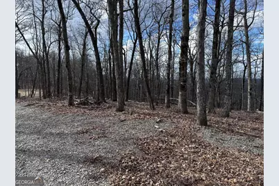 Tr C Old A T Approach Trail, Jasper, GA 30143 - Photo 12