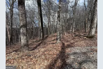 Tr C Old A T Approach Trail, Jasper, GA 30143 - Photo 14