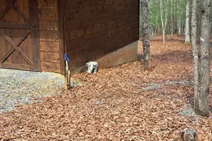 348 Lookout Trail, Mineral Bluff, GA 30559 - Photo 46