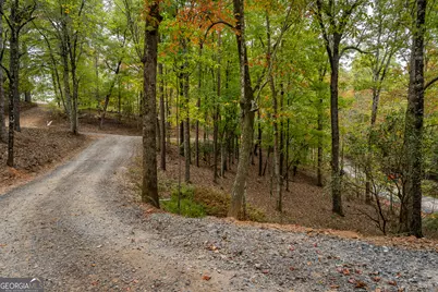 241 Wolf Creek Mountain Road #10, Mineral Bluff, GA 30559 - Photo 60
