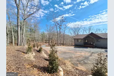 241 Wolf Creek Mountain Road, Mineral Bluff, GA 30559 - Photo 10