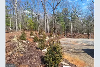 241 Wolf Creek Mountain Road #10, Mineral Bluff, GA 30559 - Photo 62